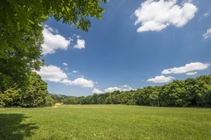 Folytatódik a hűvösvölgyi Nagyrét fejlesztése