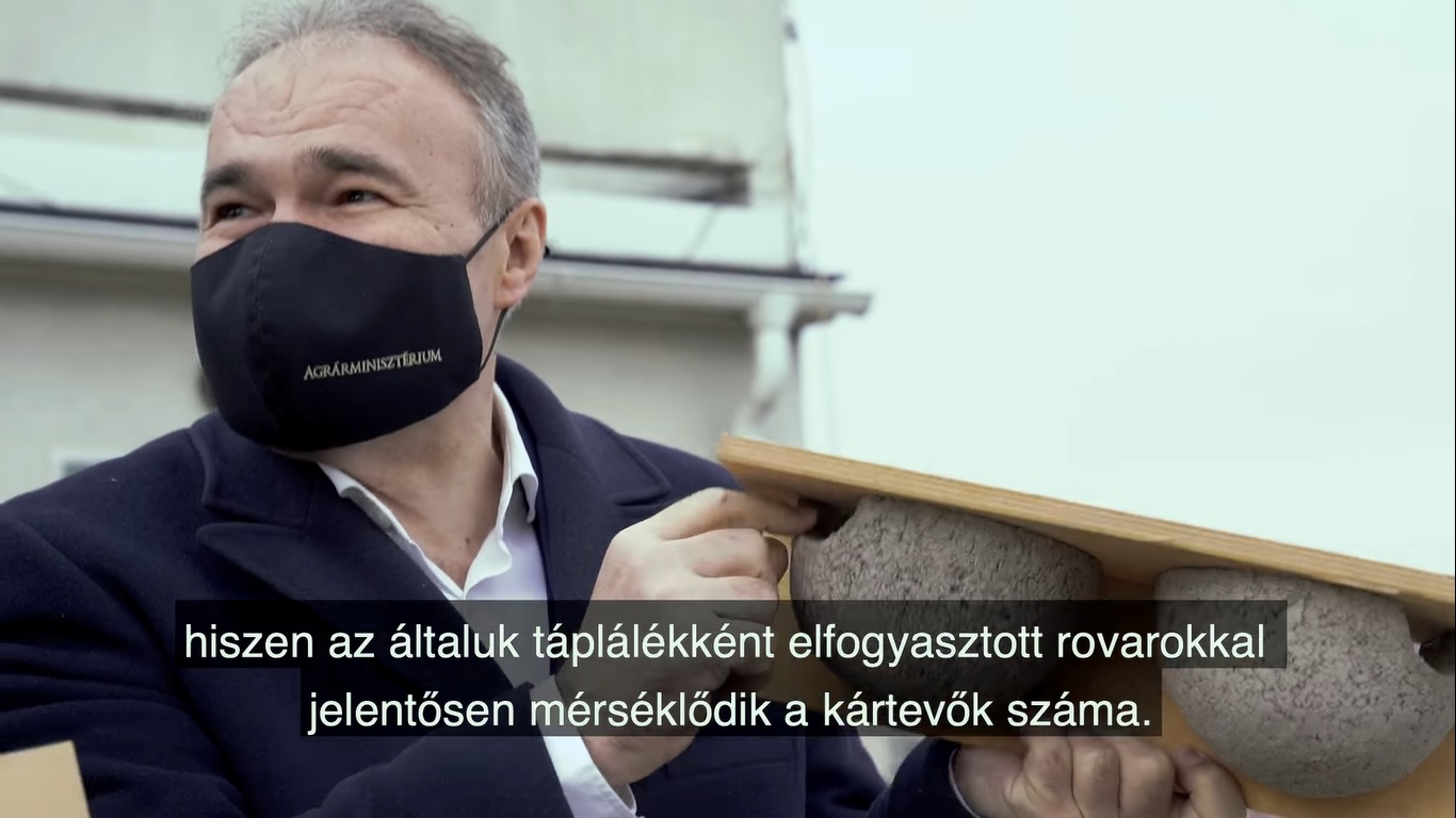 Mesterséges fecskefészkeket tettek az Agrárminisztérium tetejére (Videó!)