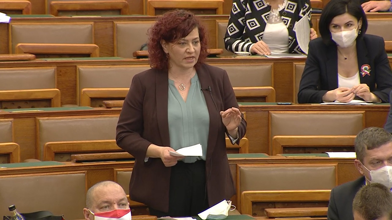 Vadai: Mi ez a kupleráj?