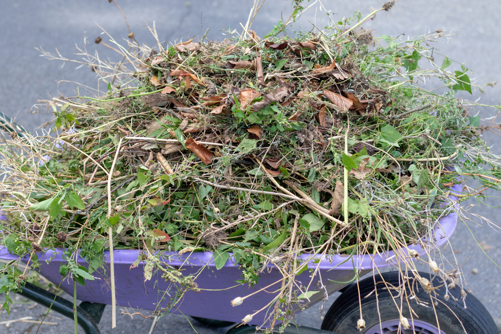 FKF: megkezdődött az idei zöldhulladékgyűjtés