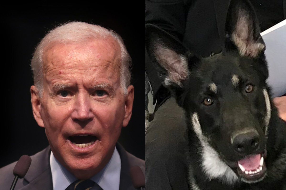 Joe Biden harapós kutyáját pótkiképzésre küldik