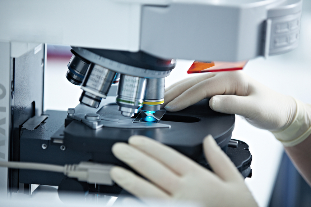 Így mutálódhat a brazil variáns