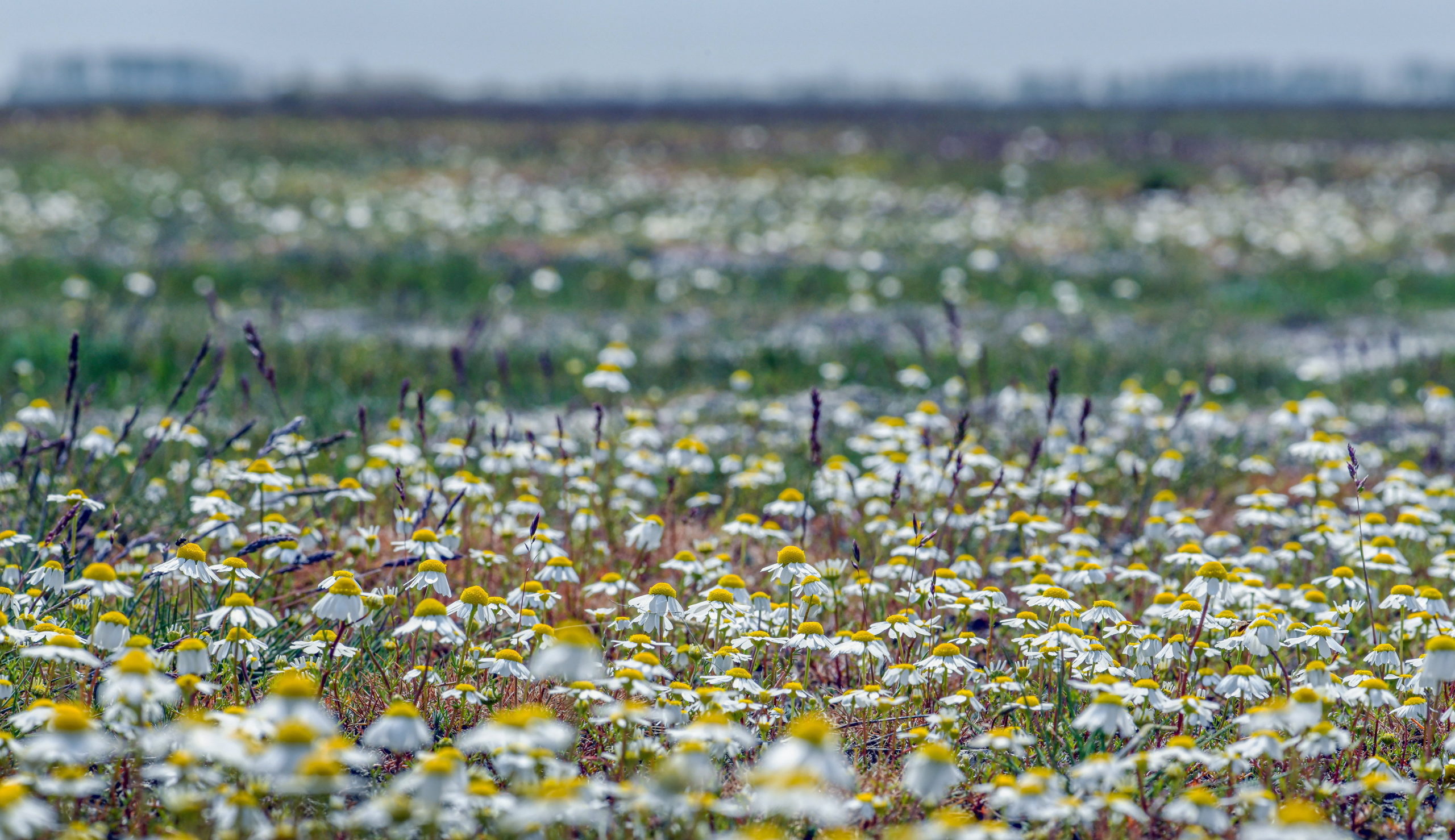 Az elmúlt tíz évben sokat fejlődött a hazai nemzeti parkok rendszere