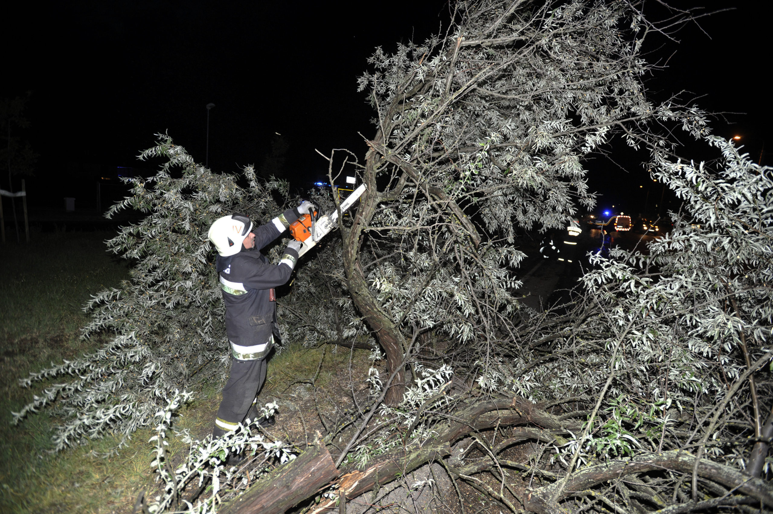 Pest megyében és Budapesten is károkat okozott a viharos szél