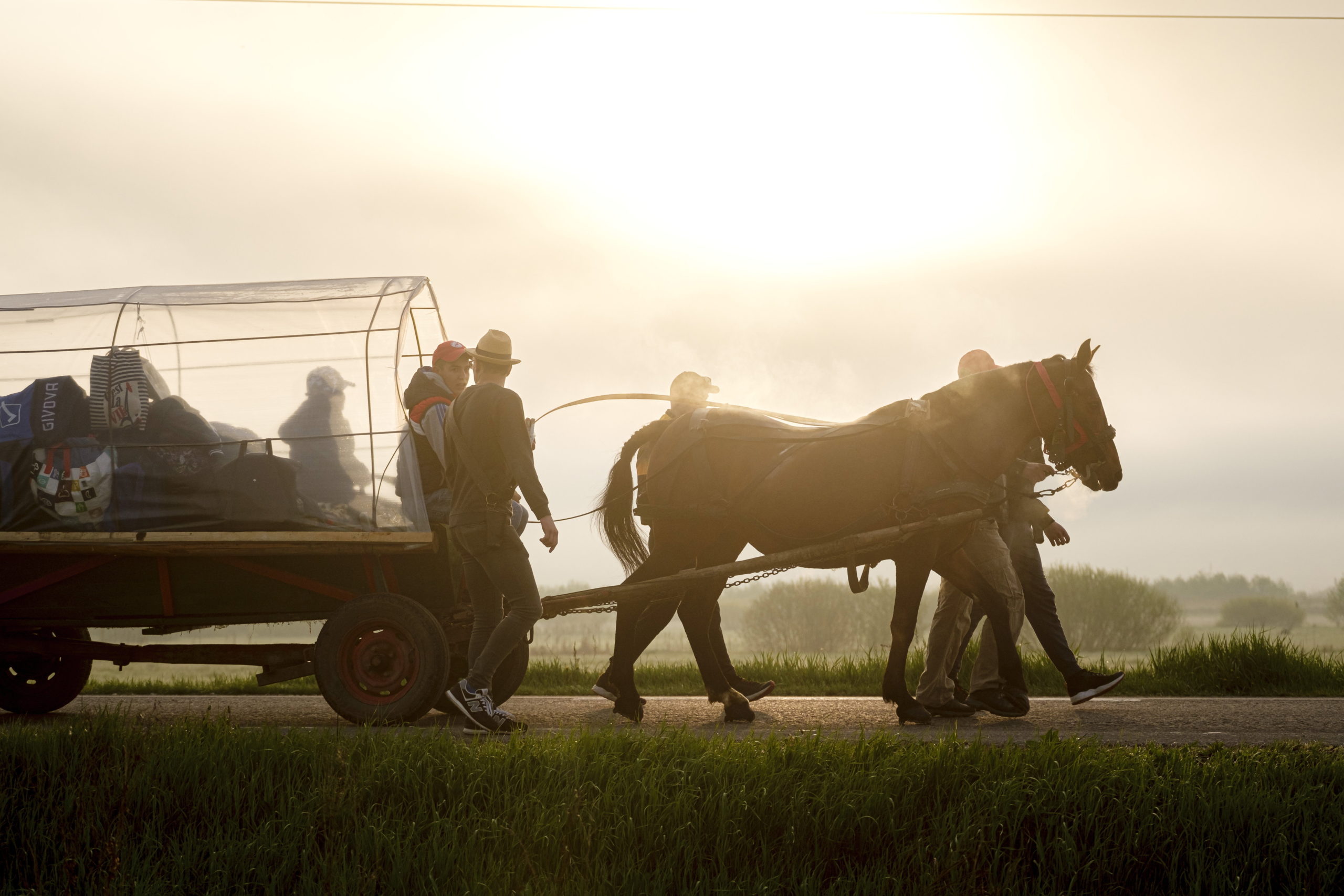 A csíksomlyói búcsú
