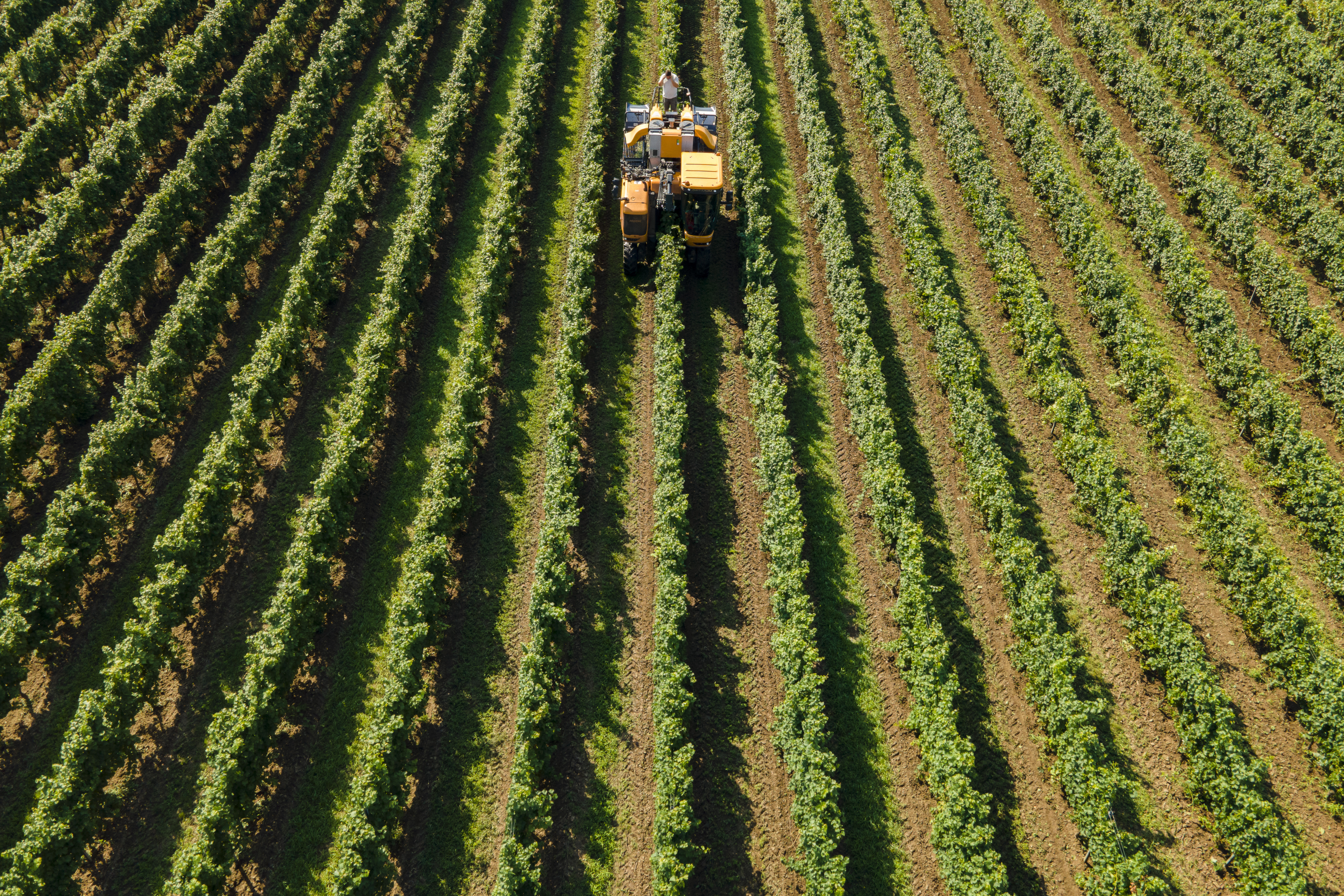 Agrárminisztérium: érdemes élni a fejlesztési pályázatok lehetőségével