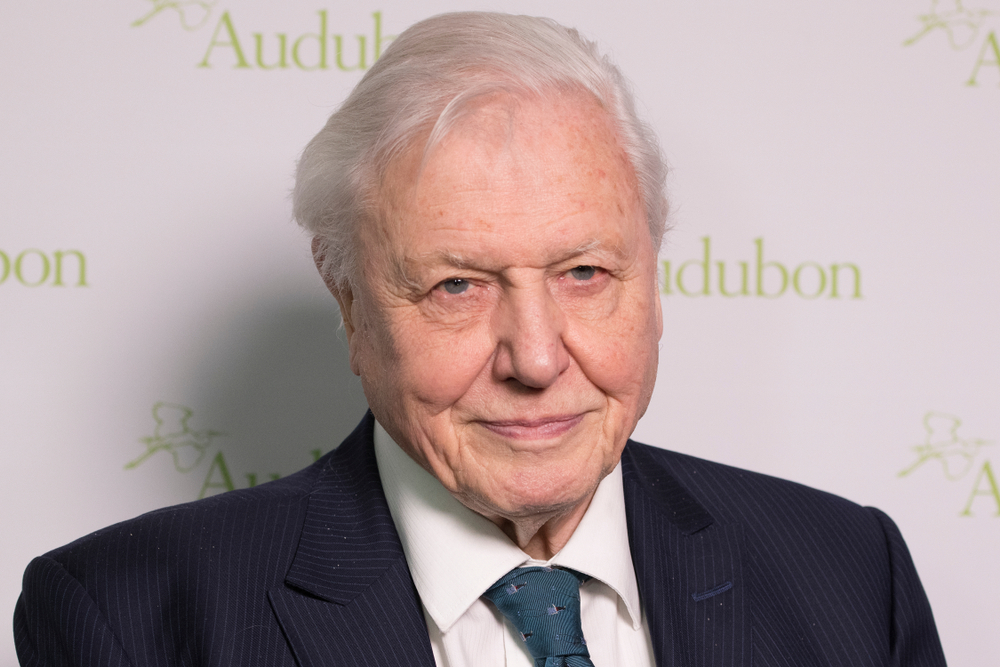 Sir David Attenborough, a brit televíziózás doyenje 95 éves