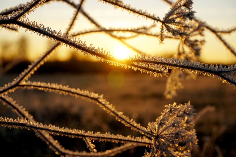 Hidegfront vonul át, majd ismét melegszik az idő