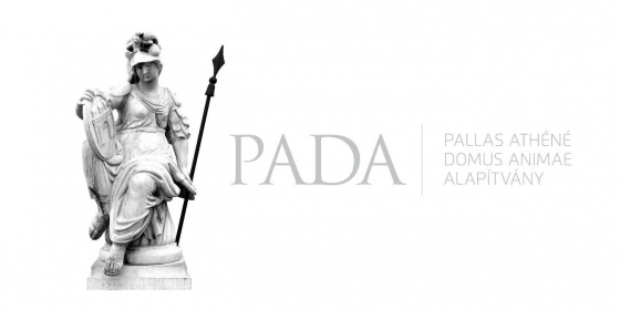 A Pallas Athéné Alapítvány vagyona 2,15 milliárd forinttal nőtt tavaly