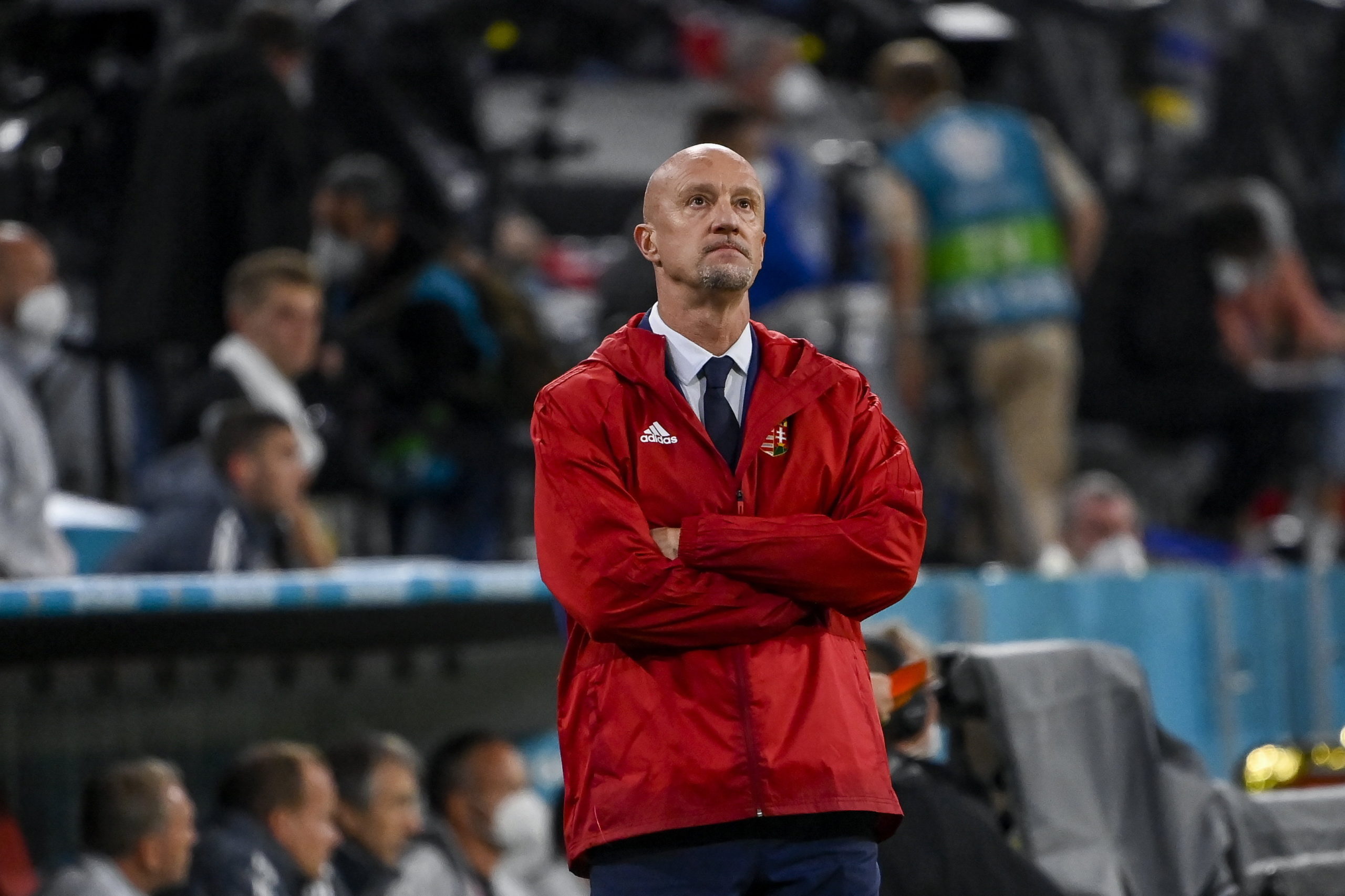 Marco Rossi: a legszebb tündérmesének sem mindig tökéletes a vége