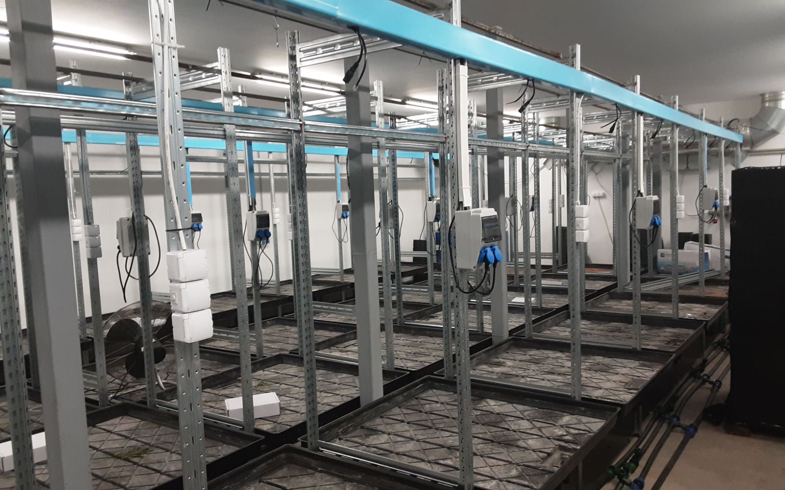 High-tech körülmények között termesztették a kábítószert Kecskeméten