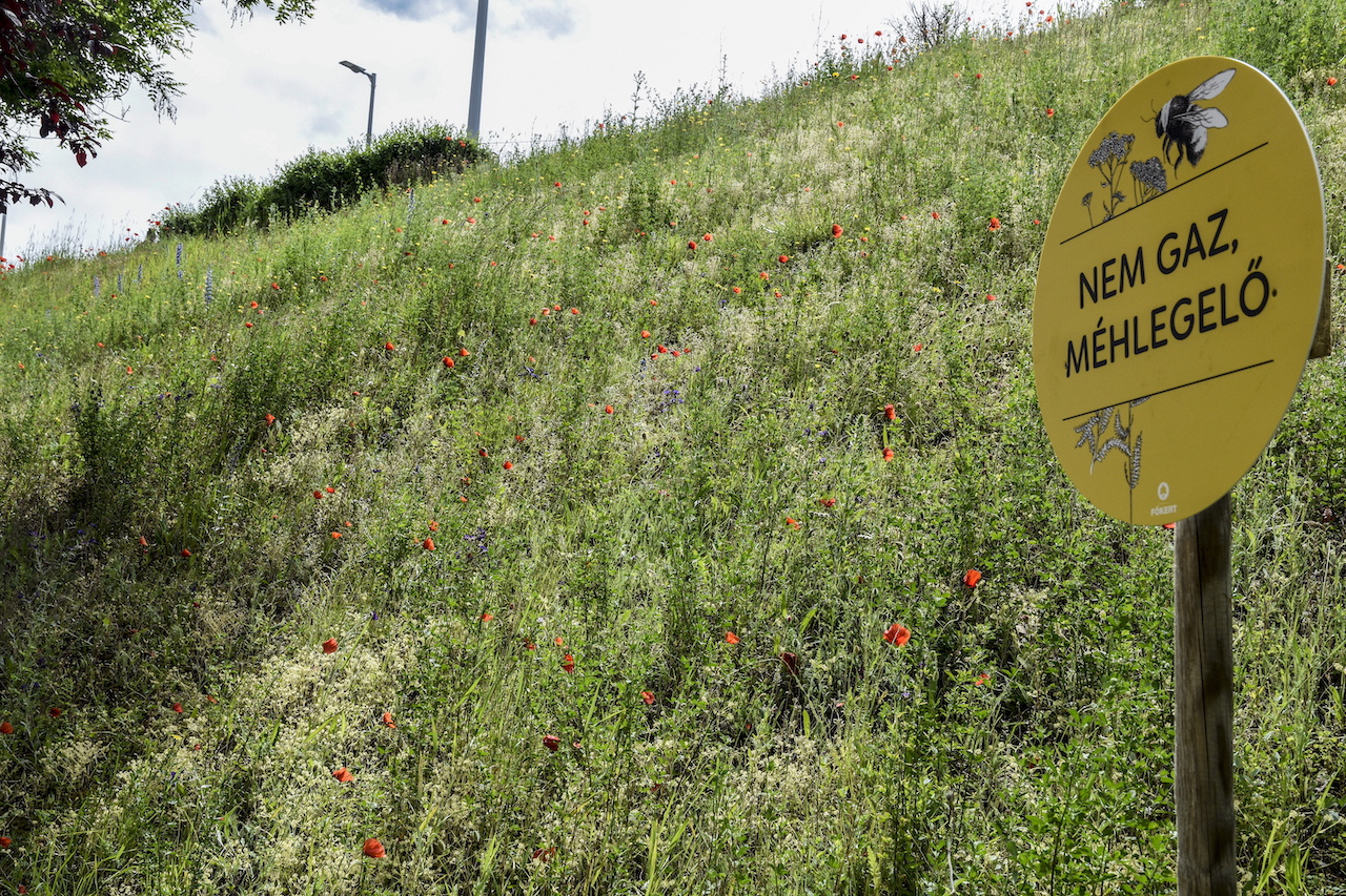 Álszent városrombolás