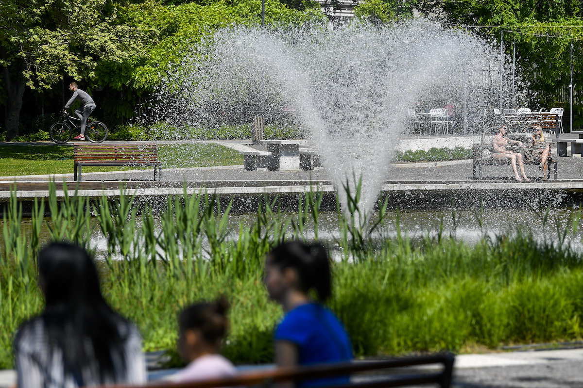 A szolfézshajú lány
