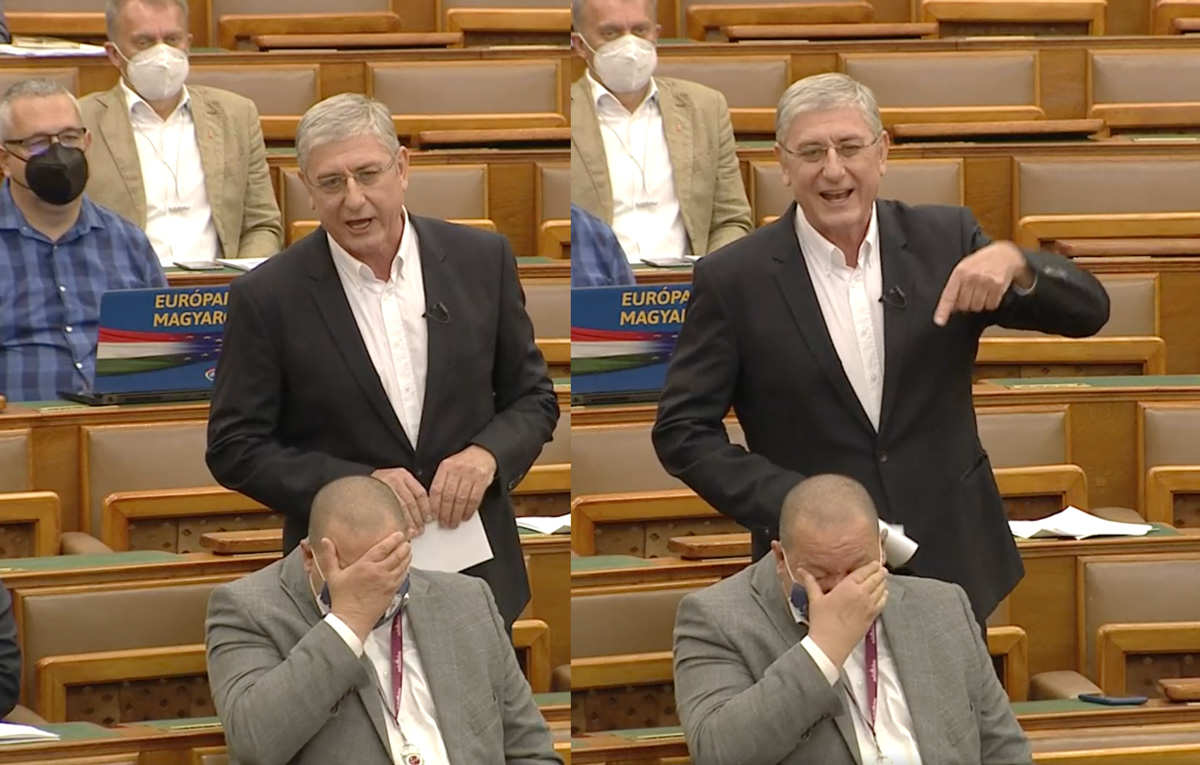 Gyurcsány Ferenc hatása