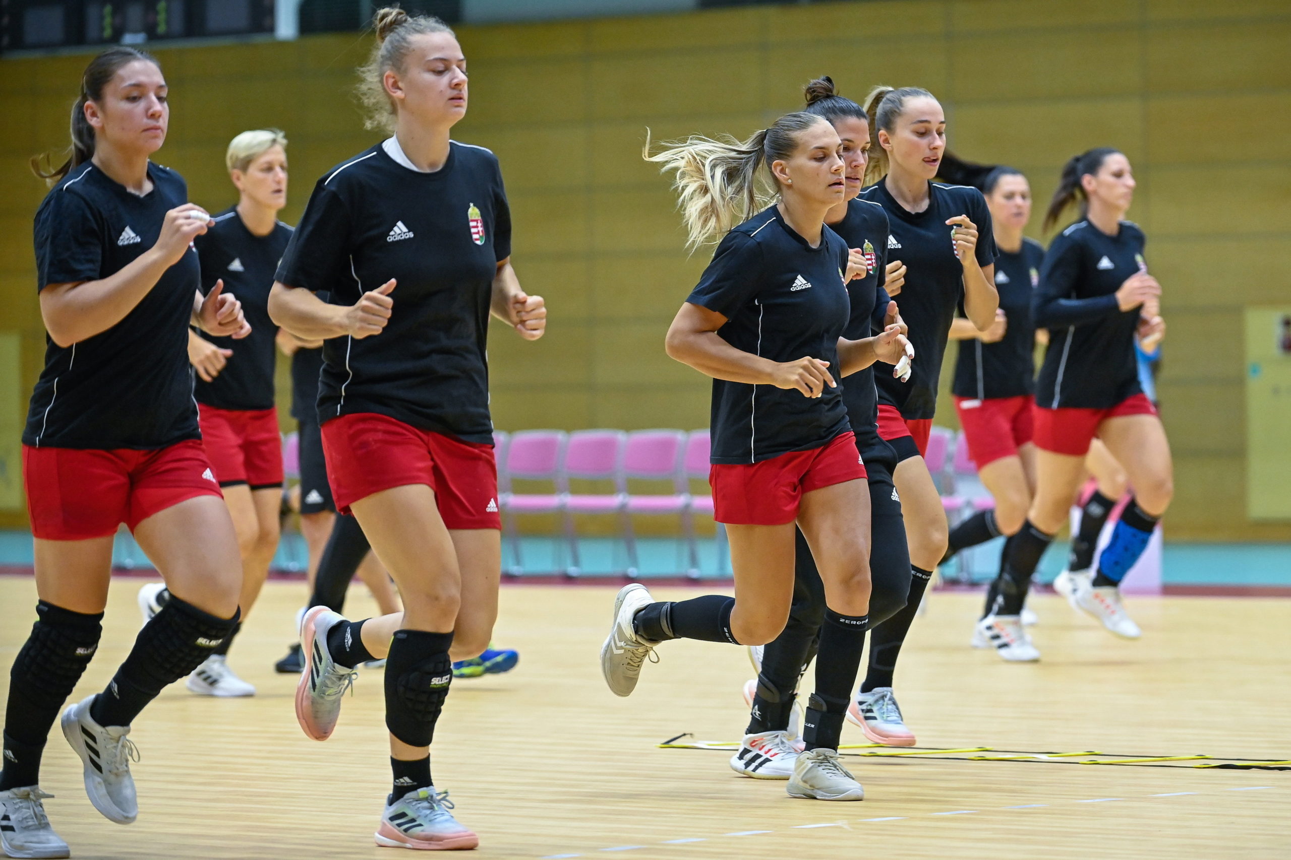 Elek Gábor: a sebesség nagyon fontos lesz a franciák ellen