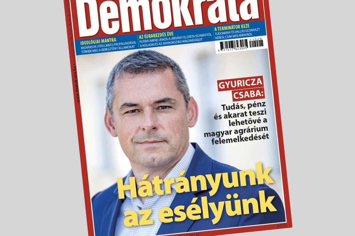 Hátrányunk az esélyünk