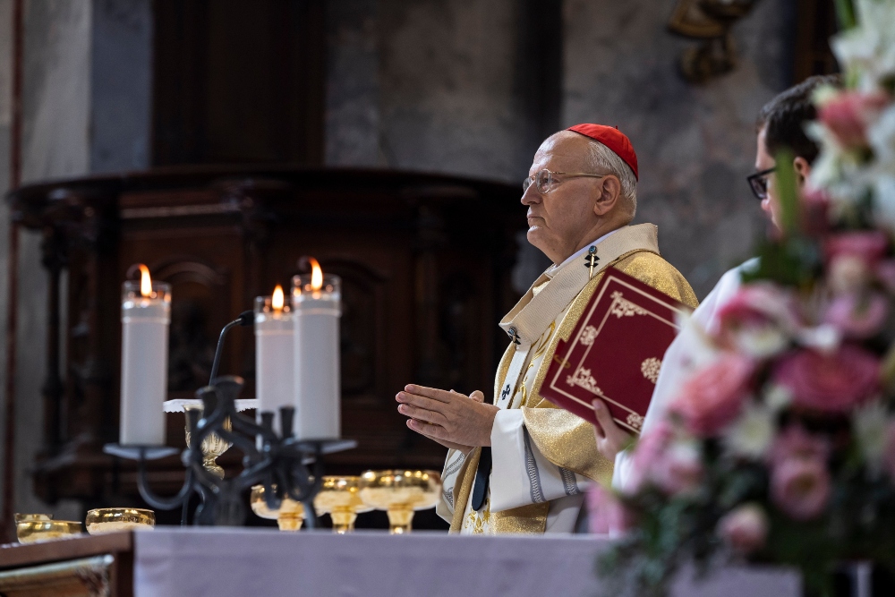 Erdő Péter: Nevelést és identitást adott az egyház az európai népeknek