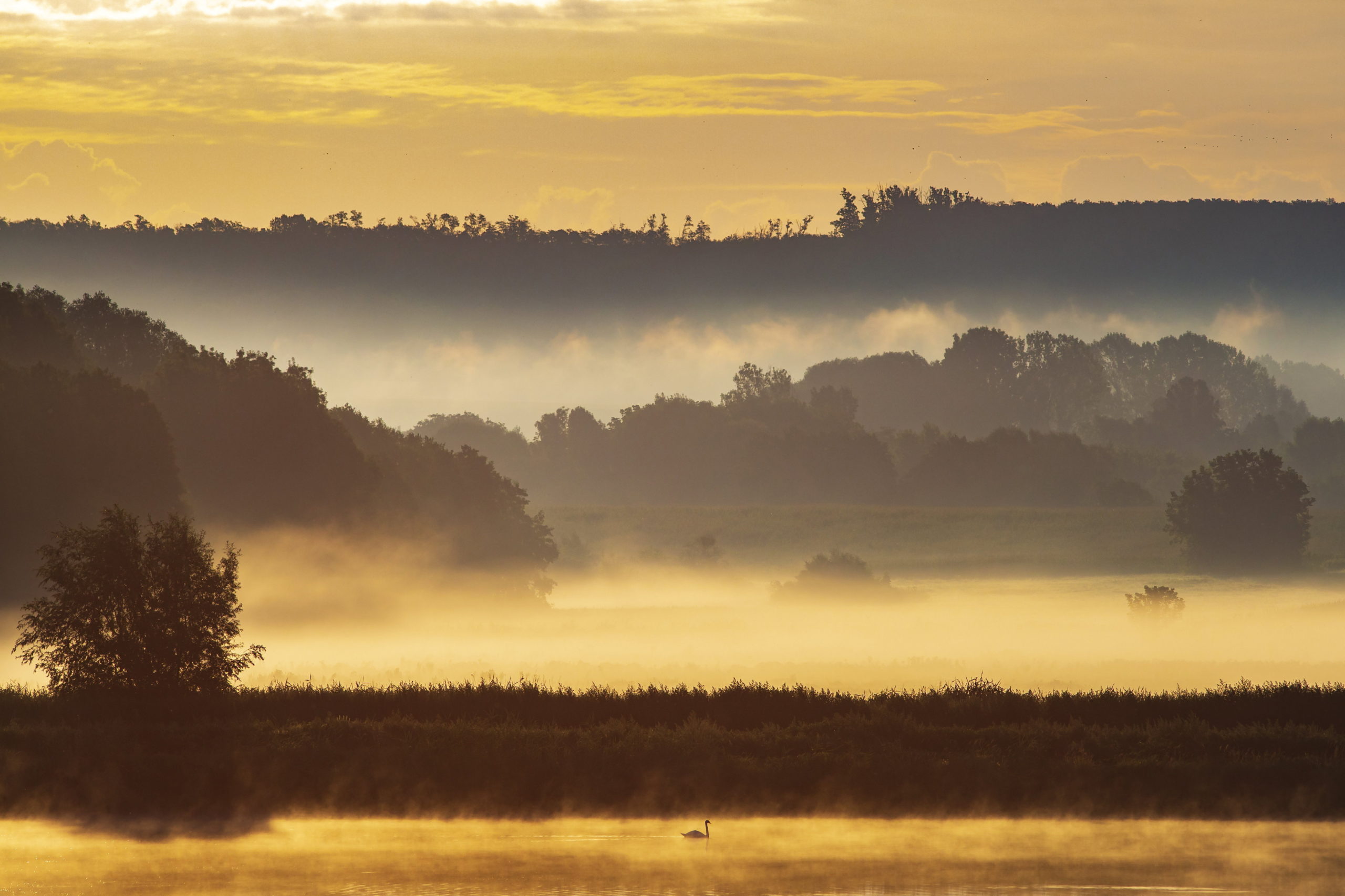 A nap képe: Köd Somogyban
