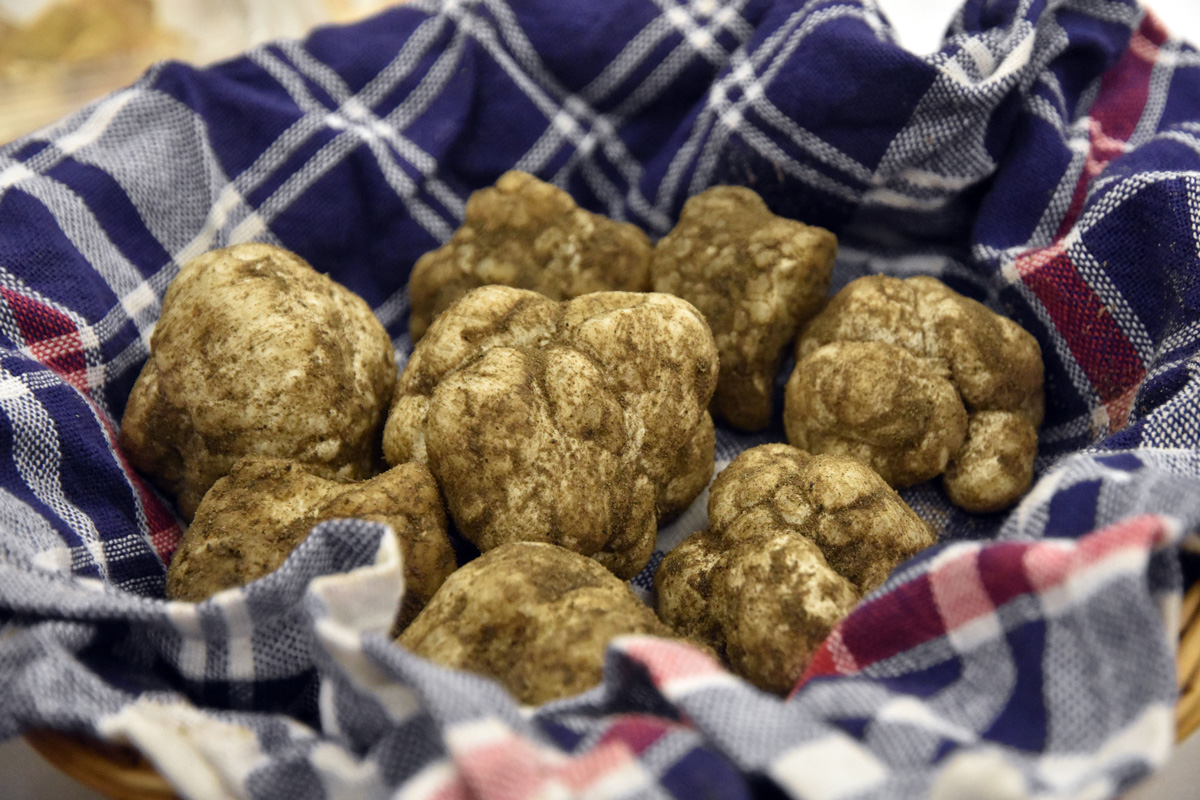 Égi áldás a földi kenyér