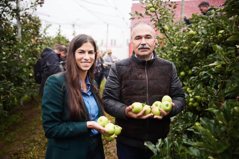Idén 885 hektár új almaültetvényt telepíthetnek