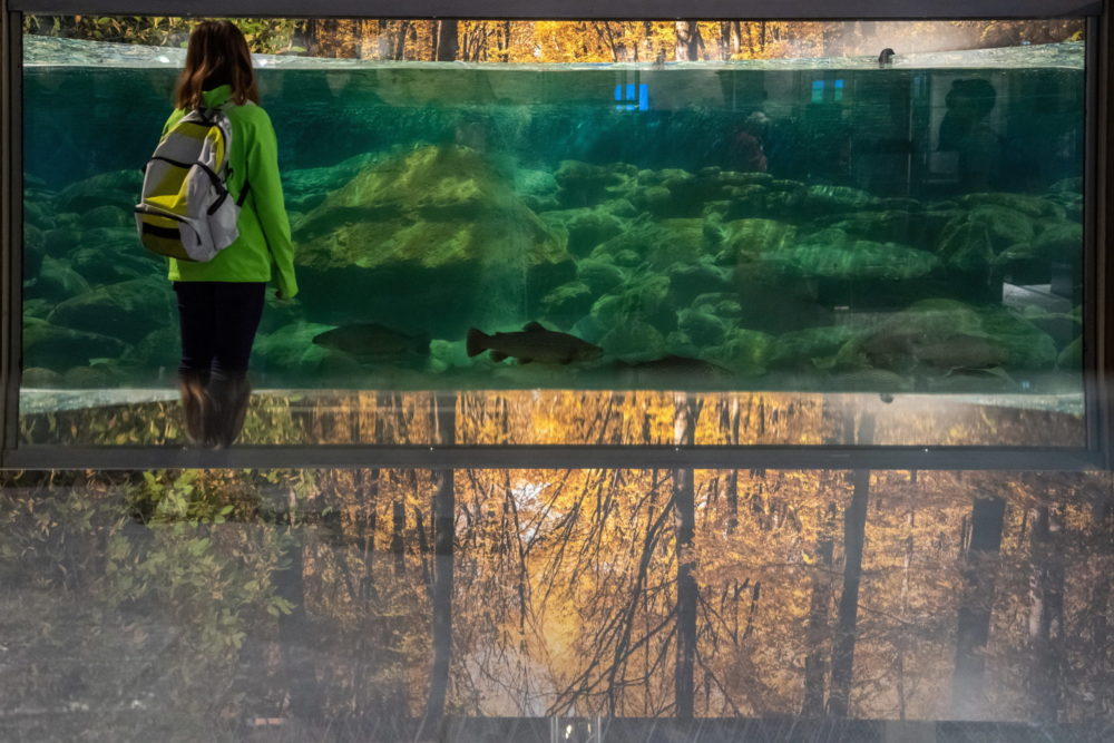 Online környezetvédelmi felmérést indított a kormány