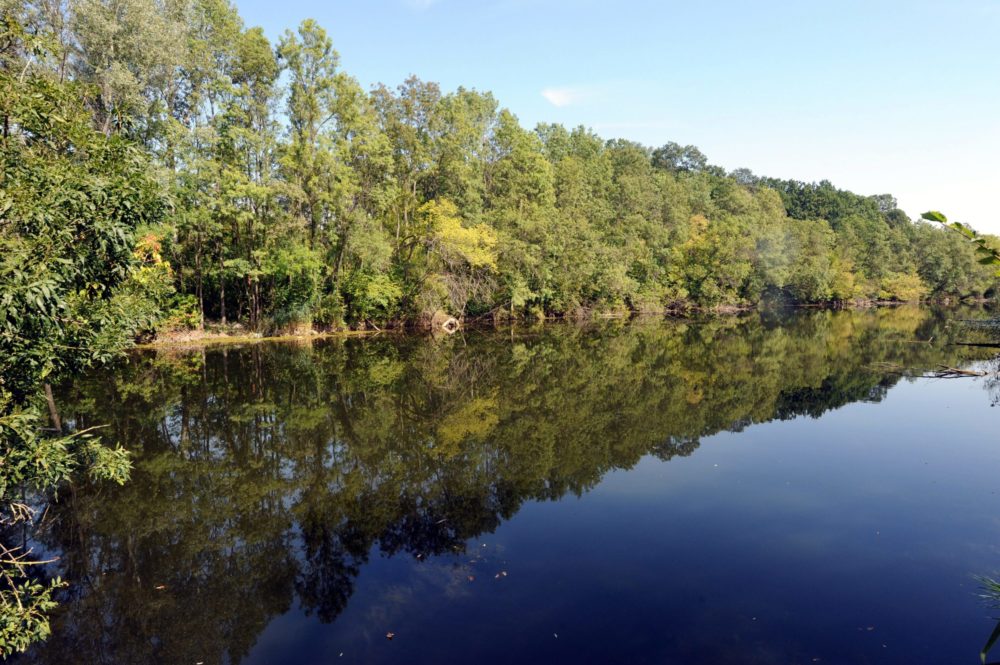 Hatalmas lépés az ötoldalú bioszféra-rezervátum megalakulása