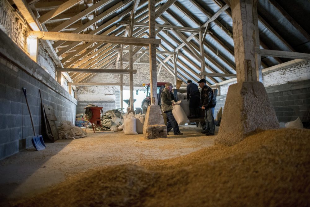 Megjelent a takarmány-előállító üzemek fejlesztéseit támogató felhívás