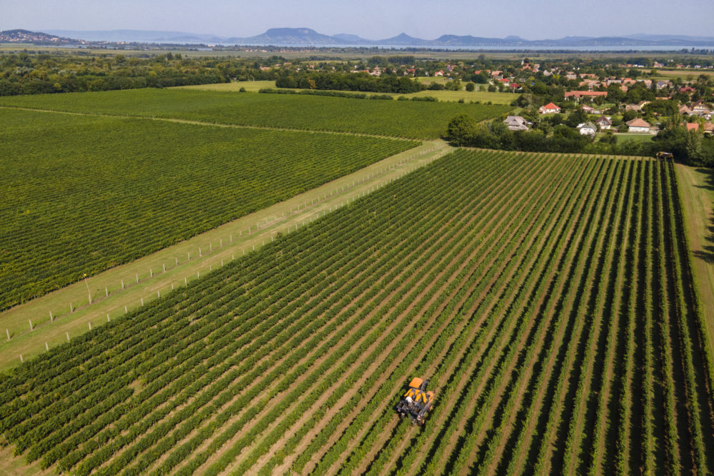 Elindul a Megújuló vidék, megújuló agrárium program második üteme