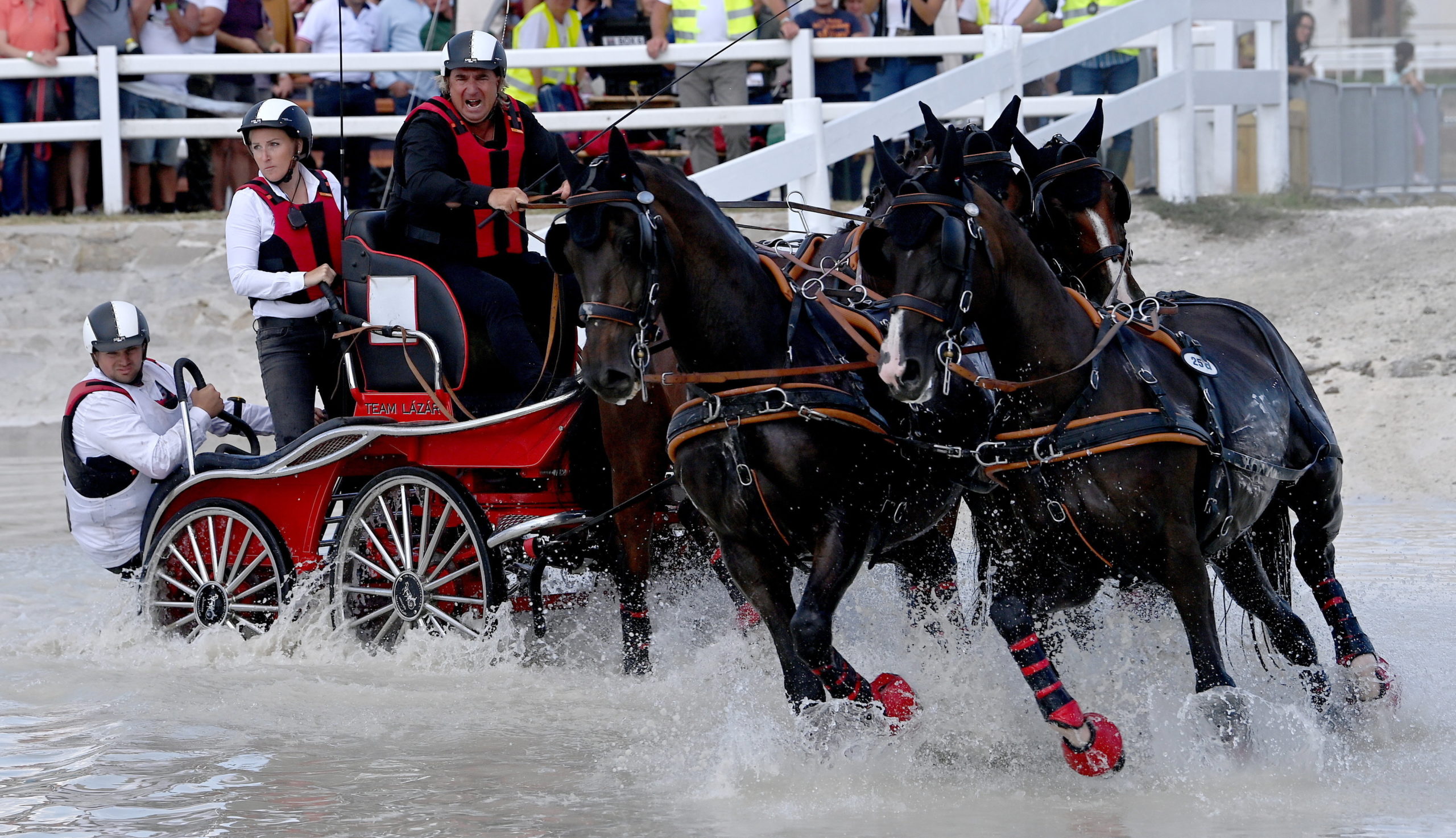 Négyesfogathajtó Eb Budapesten