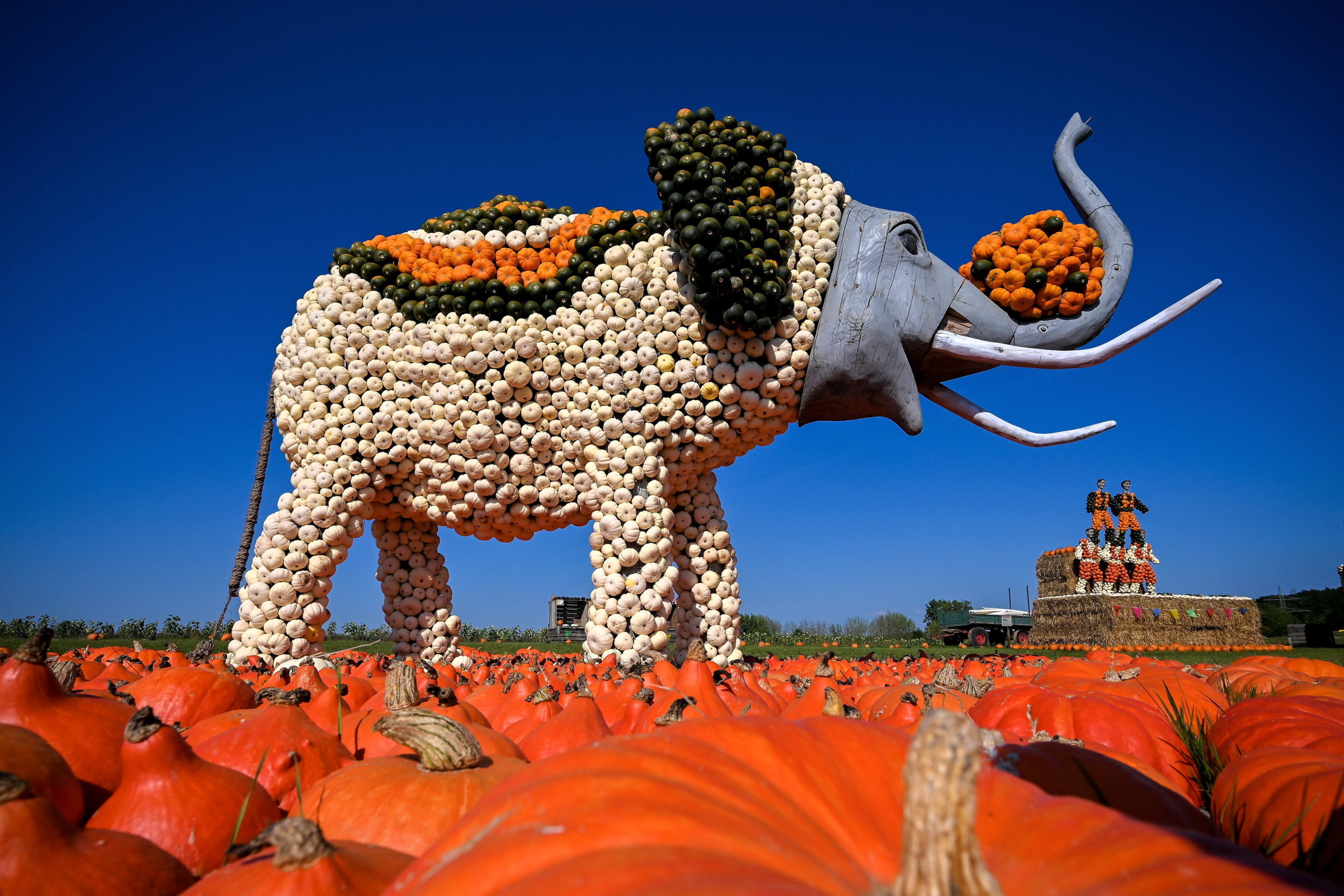 A nap képe: Tökfesztivál Németországban