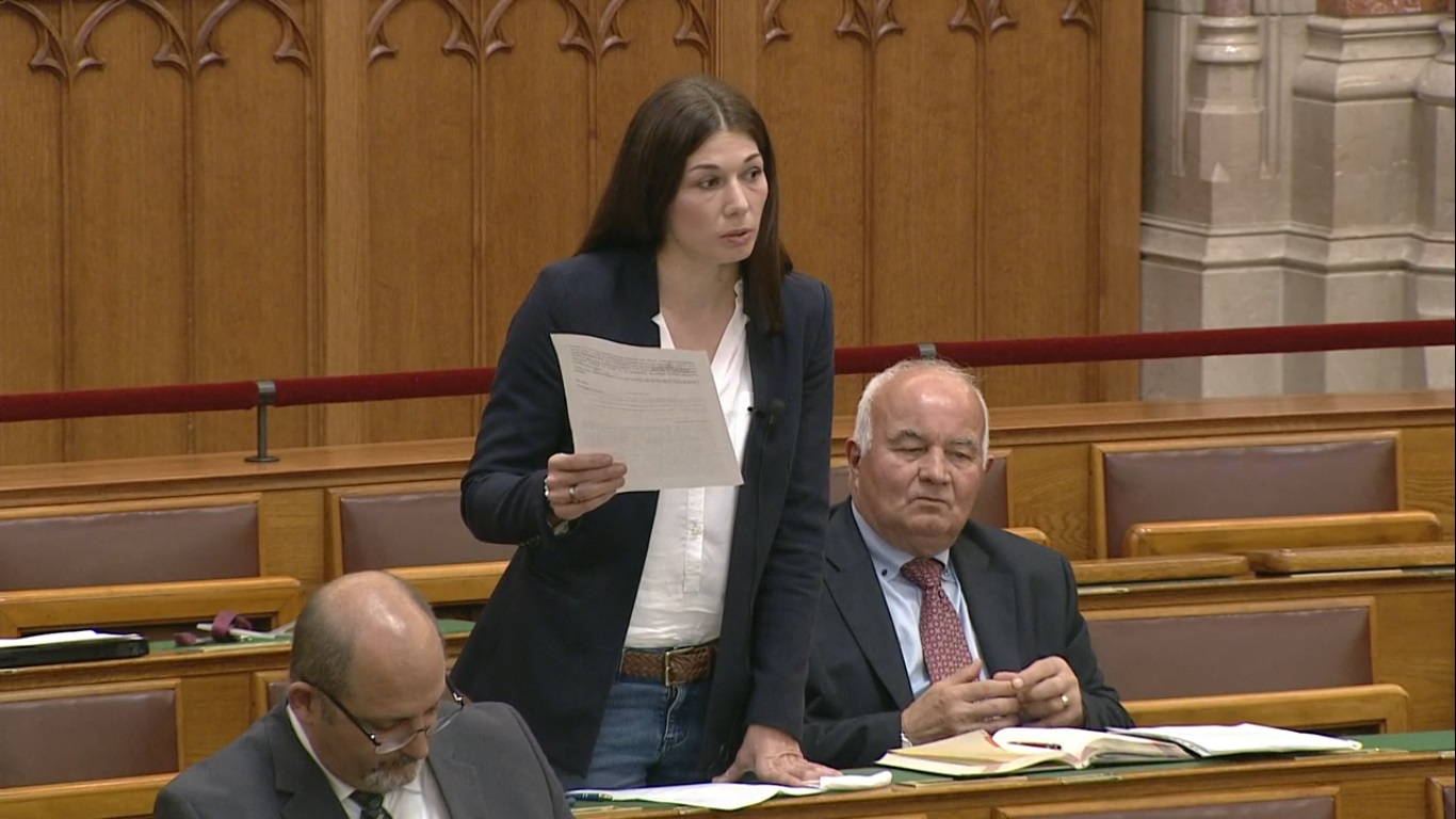 Bősz Anett vagyonokat fagyasztana be, kitüntetést adatna vissza