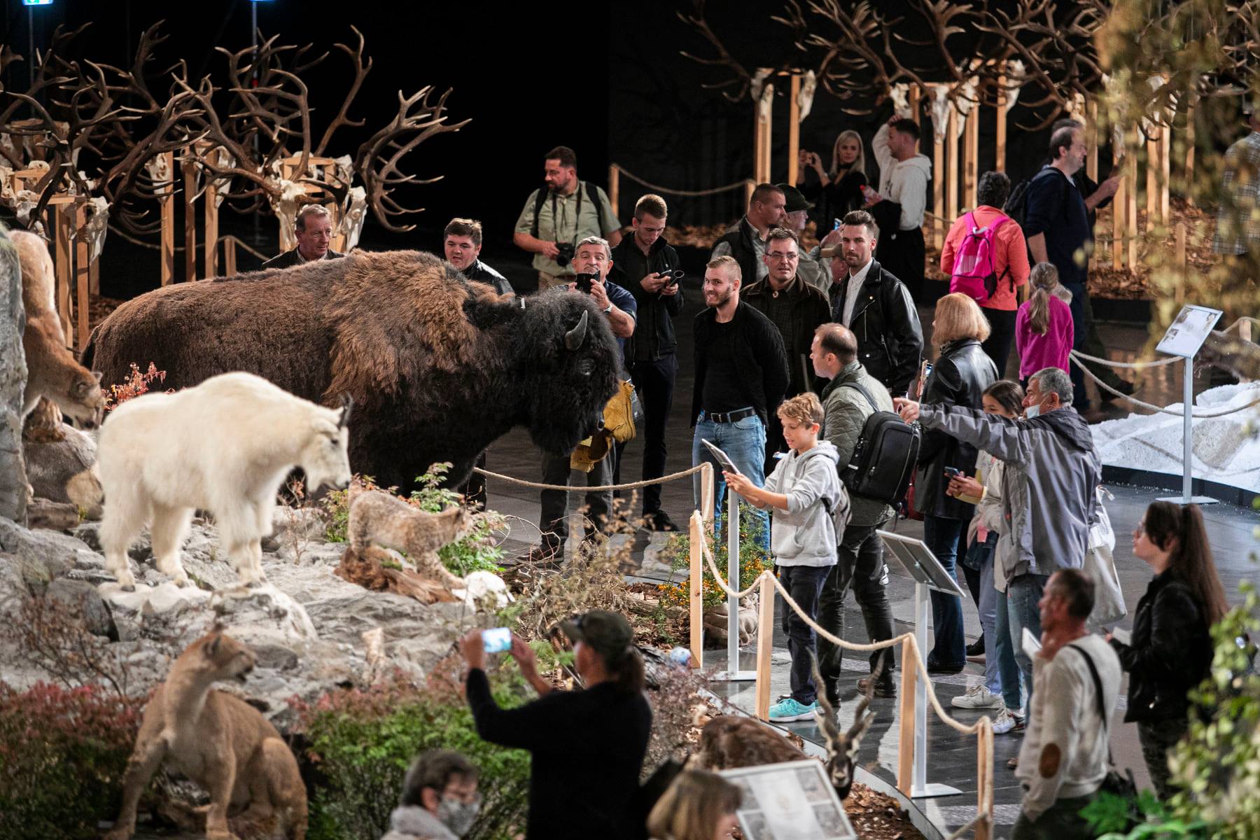 A gyerekeket is várja a vadászati világkiállítás programsorozata