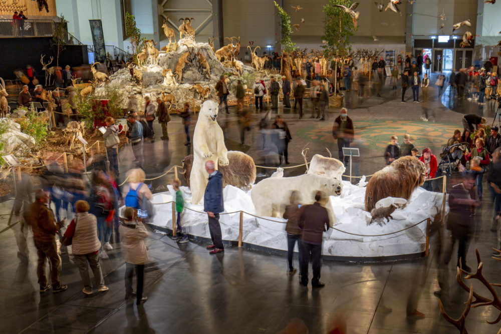 Nemzetközi programokkal várják a látogatókat a vadászati világkiállításon