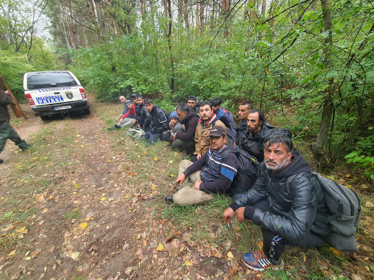 Egyre többen, egyre erőszakosabban