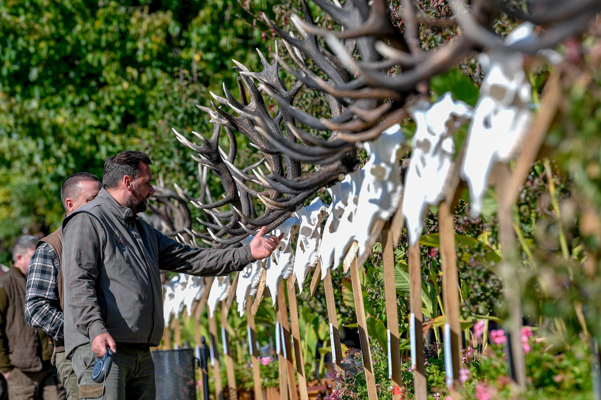 Trófeaszemlét rendeztek a vadászati világkiállítás keretében