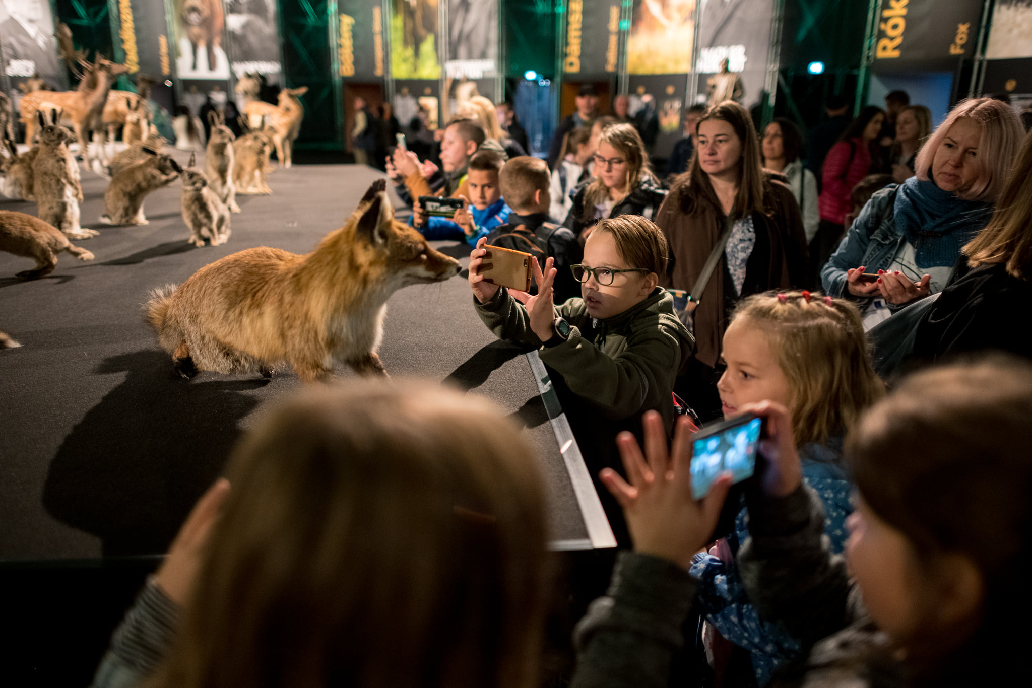 A vadászati világkiállítás látogatószáma meghaladta a félmilliót