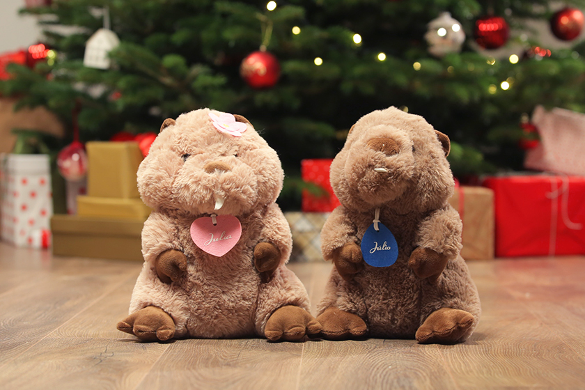 Plüsshódok vásárlásával lehet támogatni Tűzoltó utcai Gyermekklinikát