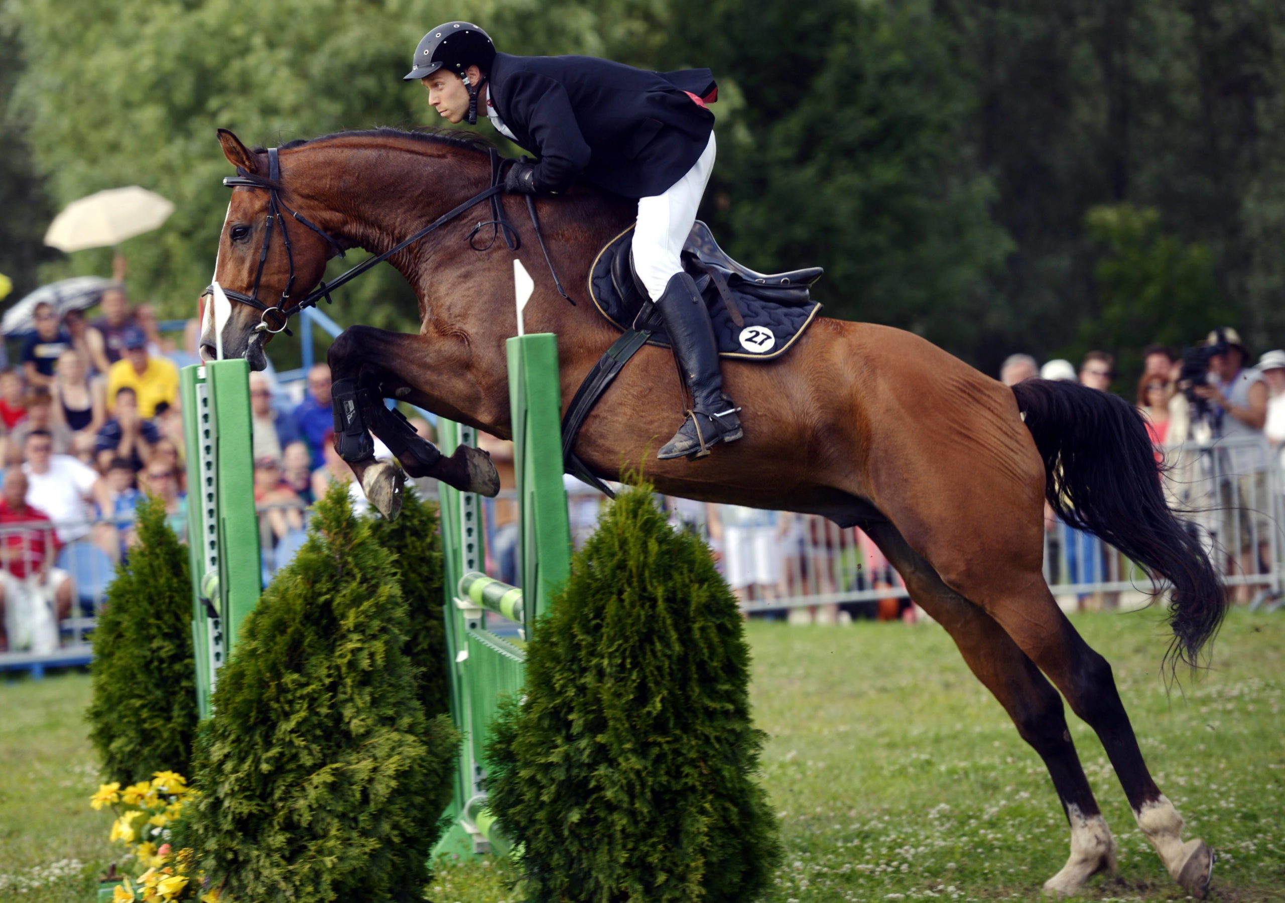 A ló miatt az öttusa elveszett? Kasza Róbert nem fogalmaz diplomatikusan