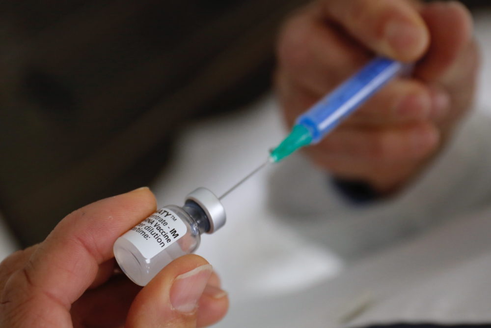 Az EU 9 hónapban szabná meg a védettségi igazolványok érvényességét