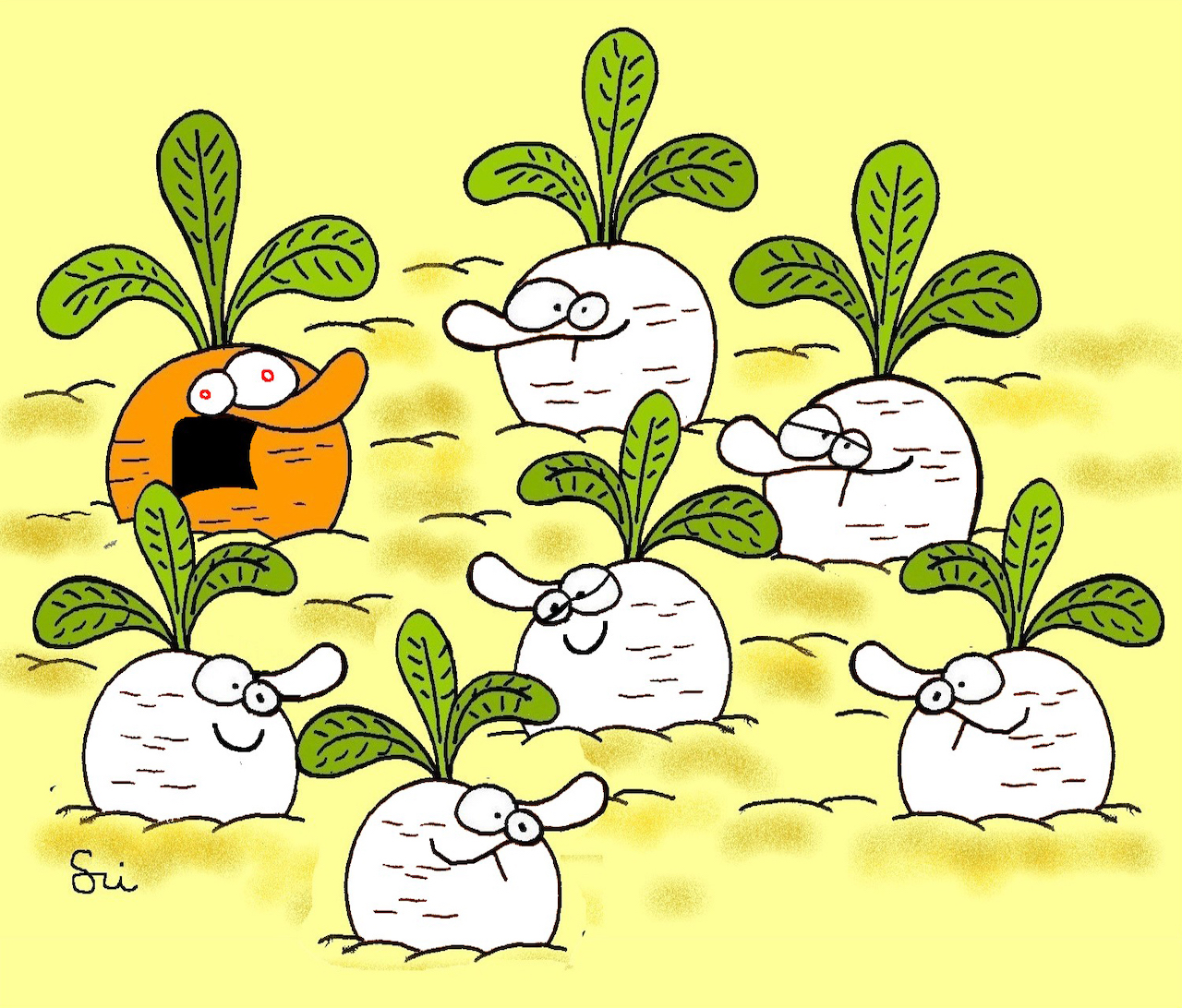 Komplexusos sárgarépa