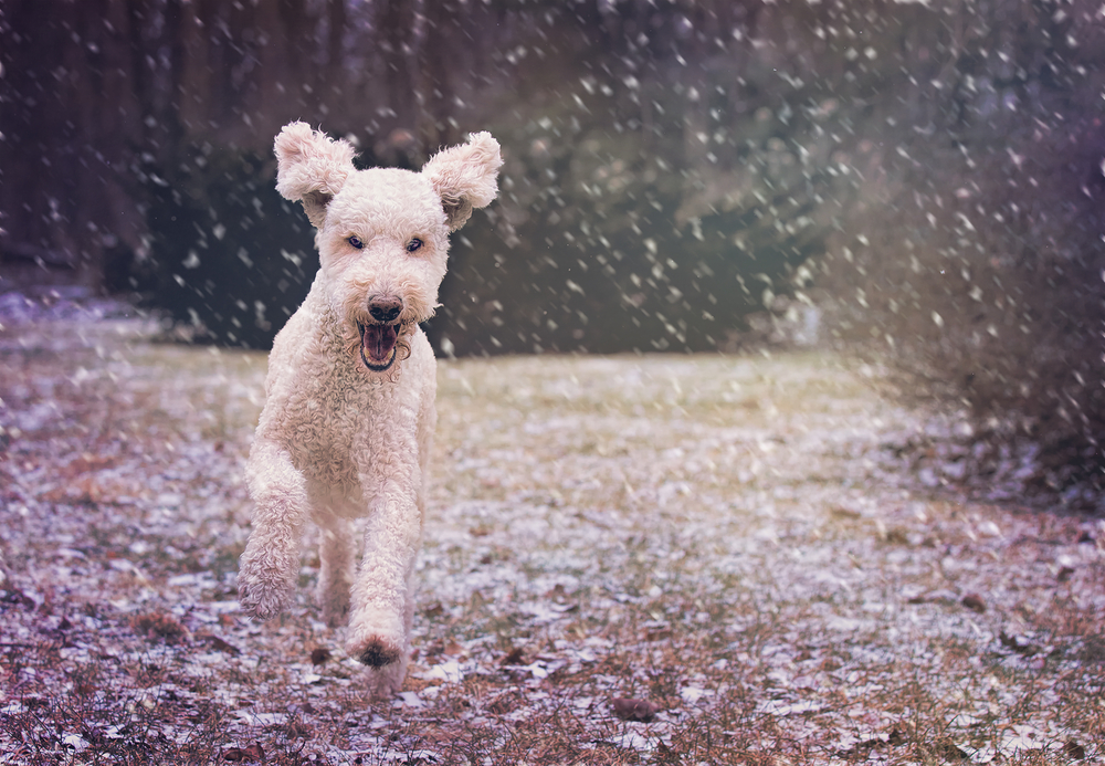 Akár hószállingózásra is számítani kell a jövő héten