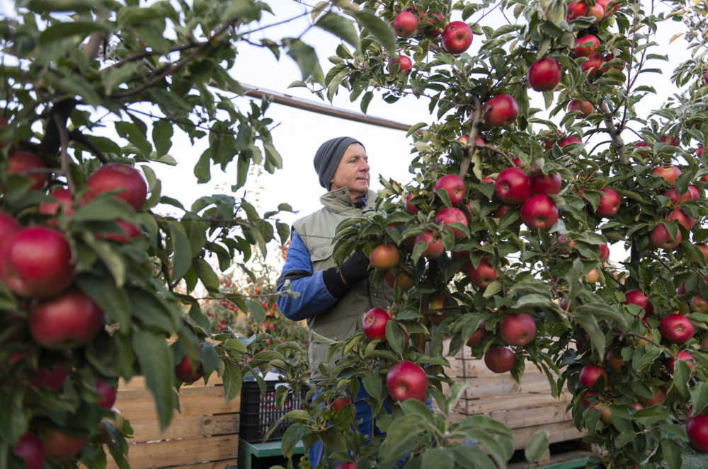 A kis és közepes agrárvállalkozások is élhetnek a rezsicsökkentéssel