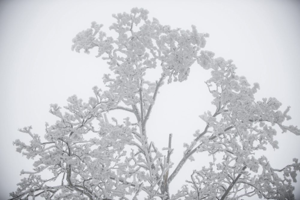 Havazásra, ónos esőre figyelmeztet a meteorológiai szolgálat