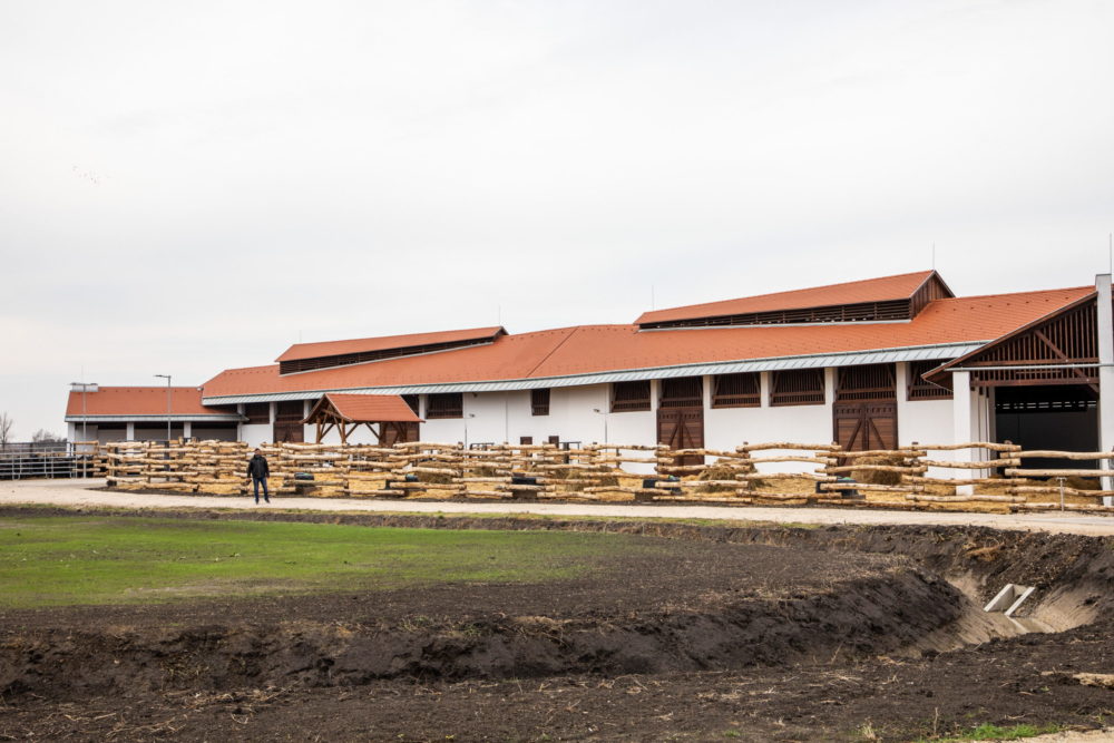 Ismét elérhető lesz az állattartó telepek fejlesztését támogató felhívás