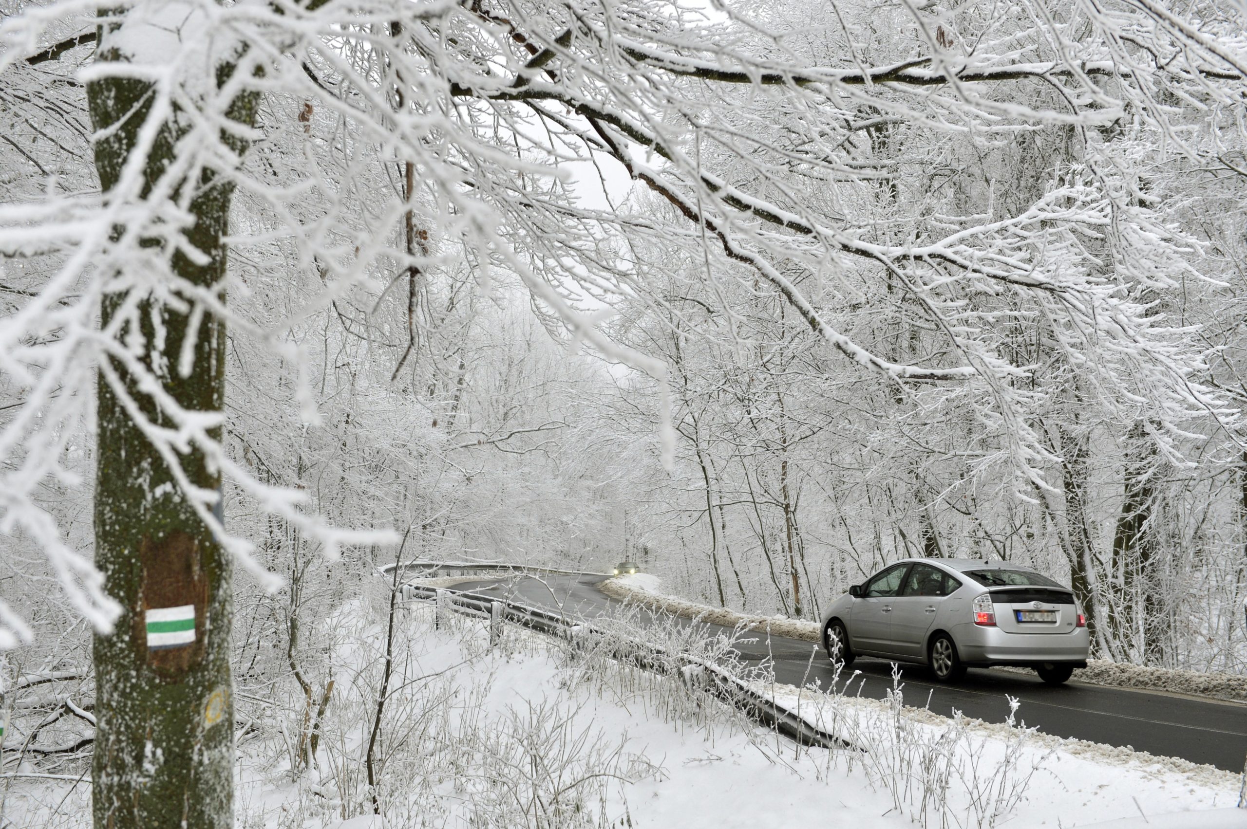 Téli csoda a Pilisben