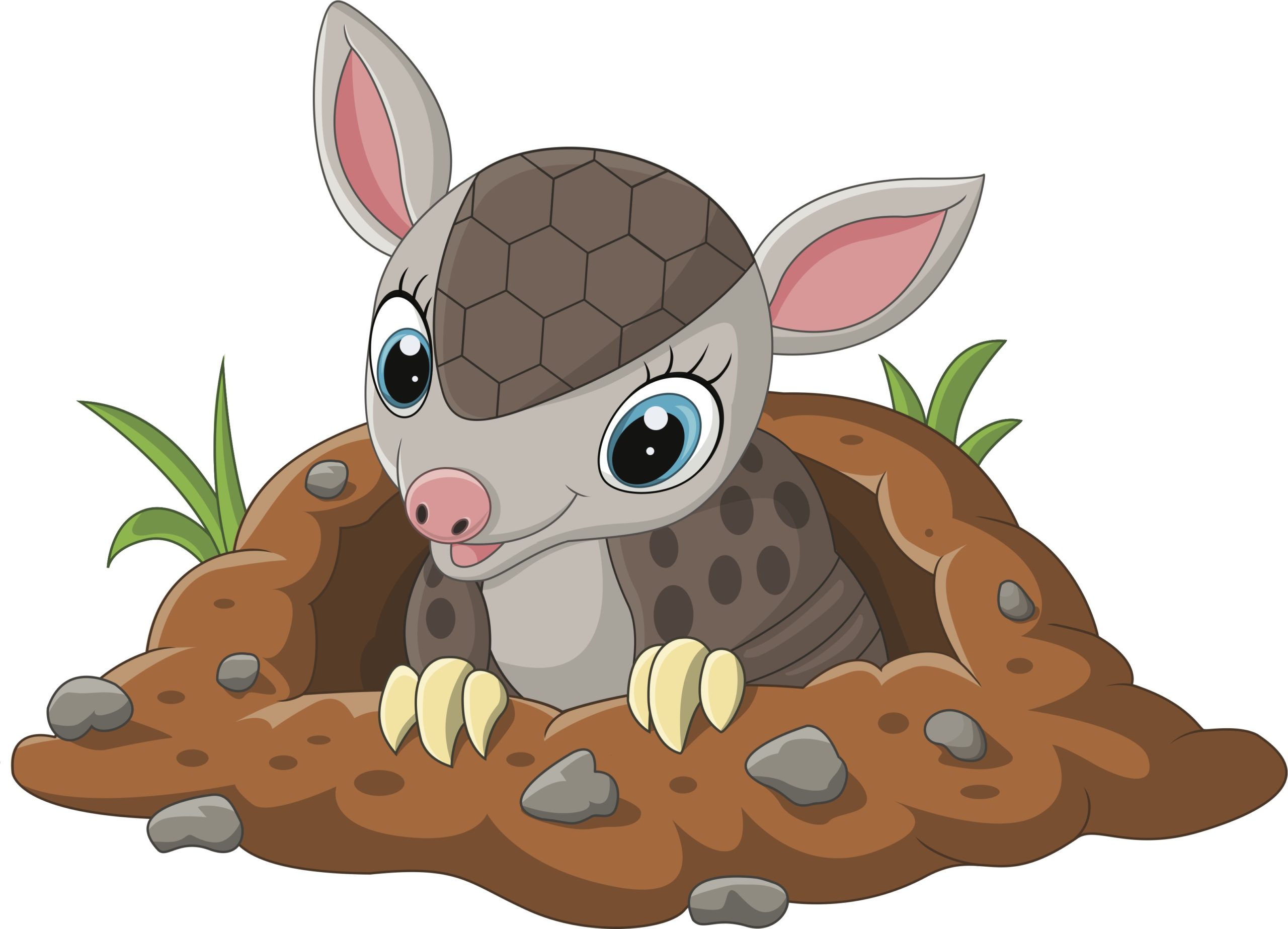 Sárga, barna, tatu, kakadu