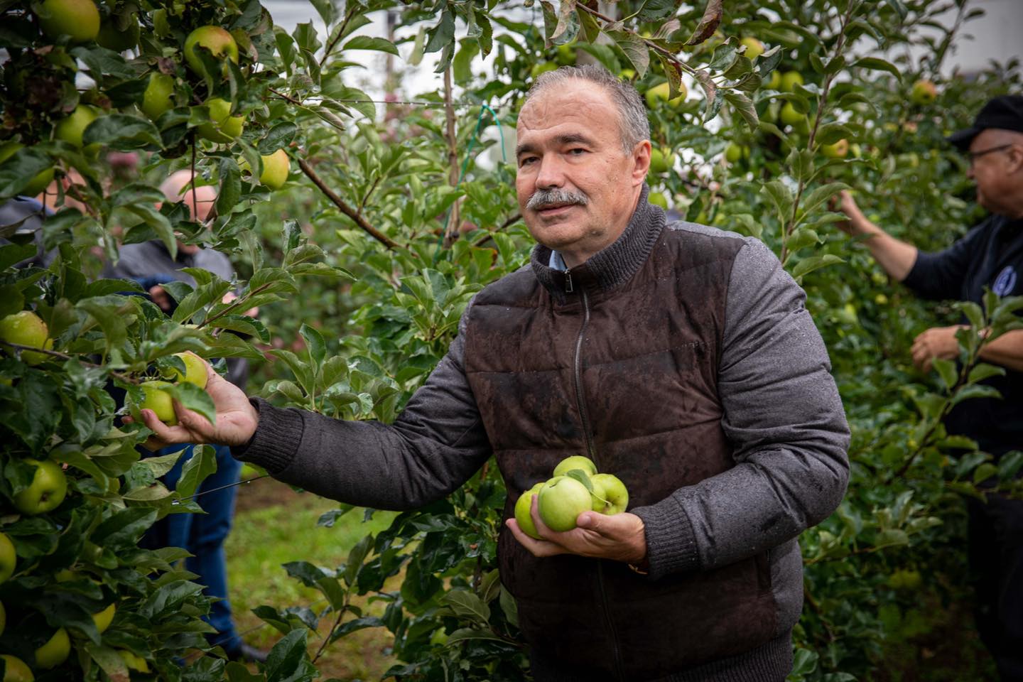 Az élelmiszerárstop egyben üzenet is a piacnak