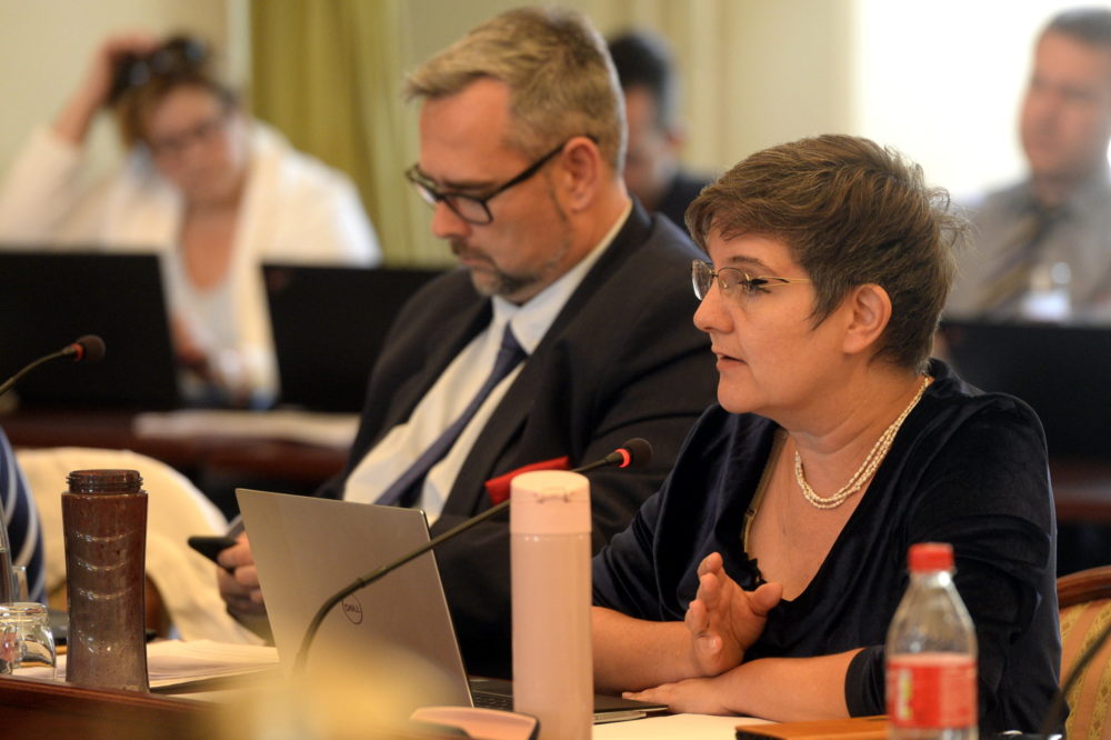 Márki-Zay után V. Naszályi Márta is támadja a rezsicsökkentést