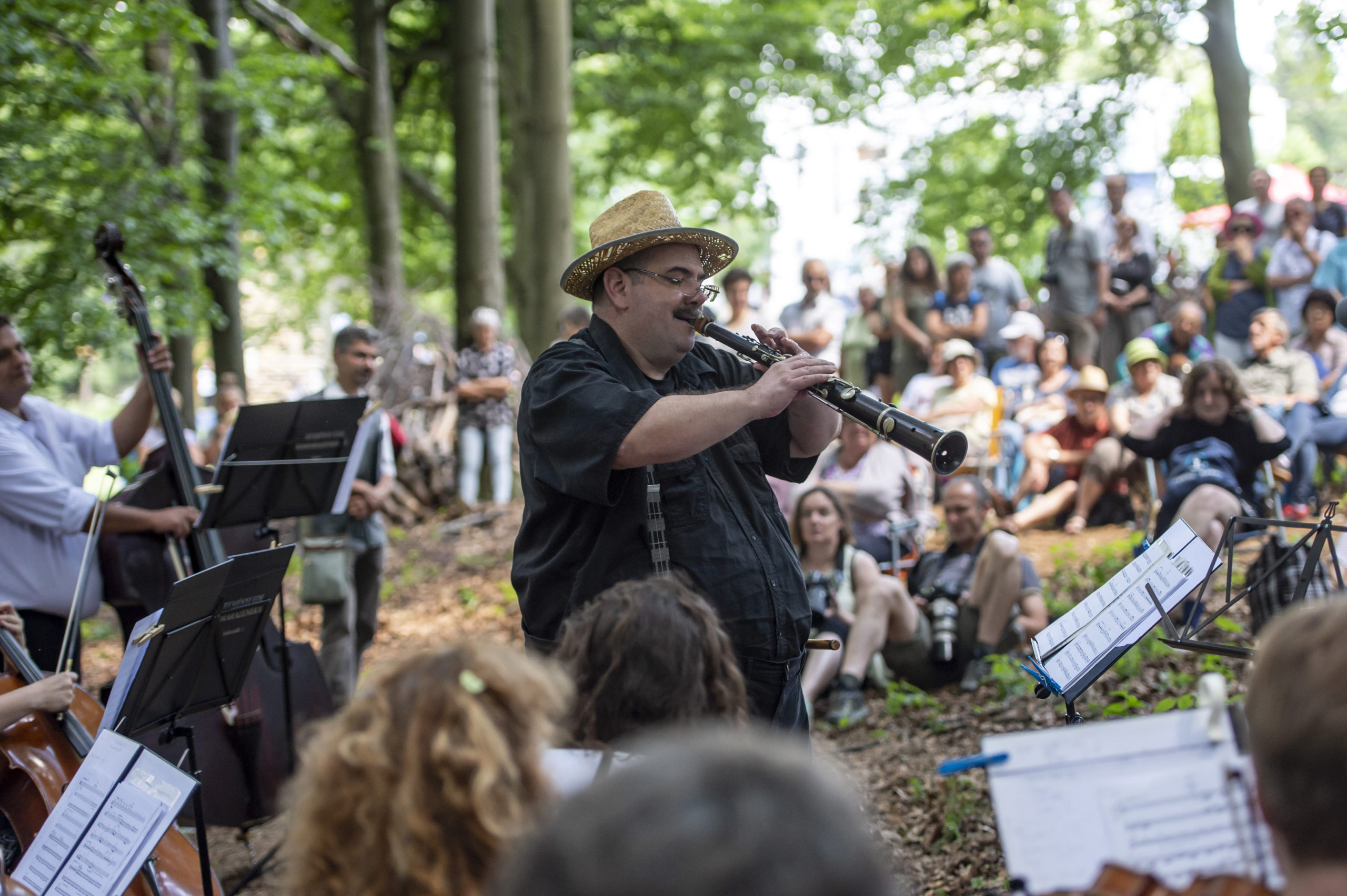 Februárban Parádfürdőn rendezik a Muzsikál az erdőt
