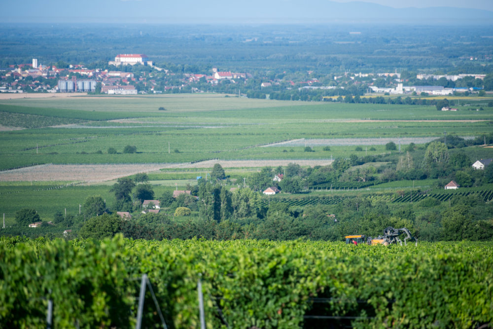 Elkészült a drónos permetezés jogszabályi háttere